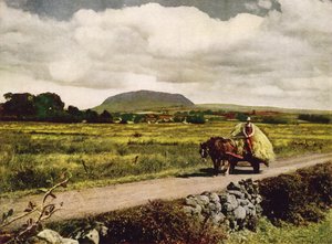 Slemish, County Antrim (färgfoto) av English Photographer