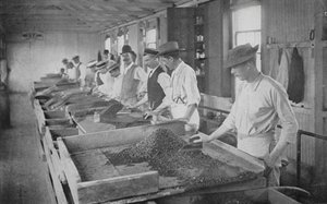 Sydafrika: Searching Tables, De Beers Diamond Mines, Kimberley (s/v foto) av English Photographer