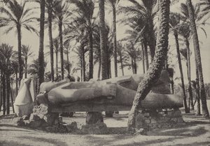 Staty av Ramses II, liggande i staden som Jeremia sa att skulle vara utan invånare av English Photographer