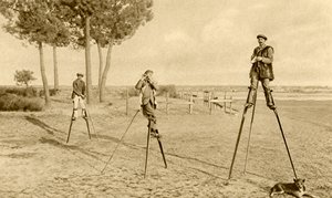 Styltor (svartvitt foto) av English Photographer