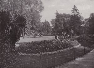 Subtropiska trädgårdar, Battersea Park av English Photographer