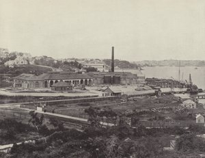 Sunlight Soap Companys Works, nära Sydney av English Photographer
