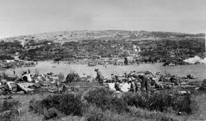 Suvla Bay, Gallipoli vid Chocolate Hill, ca 1915 av English Photographer
