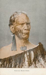 Tangata Maori Chief (foto) av English Photographer