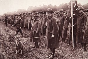 Anzac-recensionen på Salisbury Plain: en australisk maskot, illustration från The Illustrated War News, 27 september 1916 (sepiafoto) av English Photographer