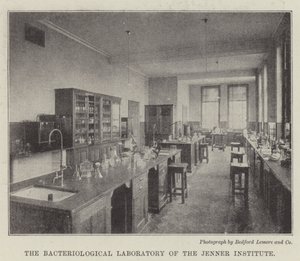 Jennerinstitutets bakteriologiska laboratorium av English Photographer