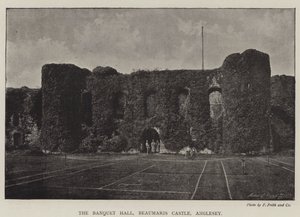 Bankettsalen, Beaumaris Castle, Anglesey av English Photographer
