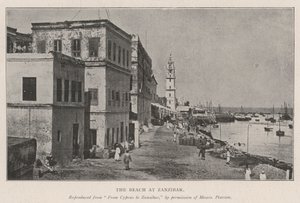 Stranden på Zanzibar av English Photographer