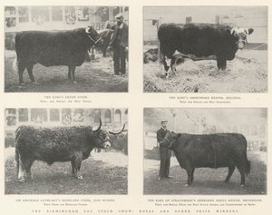 Birmingham Fat Stock Show, Royal och andra pristagare