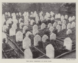The Dogs Cemetery i Hyde Park av English Photographer
