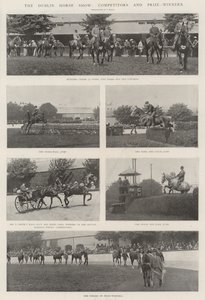 Dublin Horse Show, deltagare och pristagare
