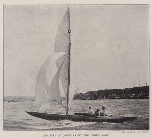 Duke of Yorks Yacht, den vita rosen av English Photographer