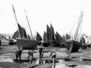 Fiskeflottan i St Ives hamn, ca 1880-99 av English Photographer