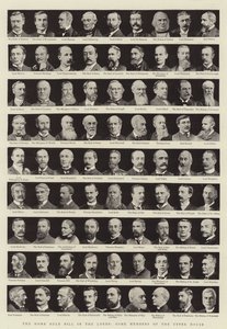 The Home Rule Bill i Lords, Some Members of the Upper House