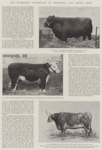 Hundraårsdagen av Smithfield Club Cattle Show