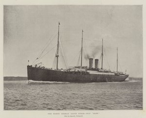 Det nordtyska Lloyd Steam-Ship Elbe av English Photographer