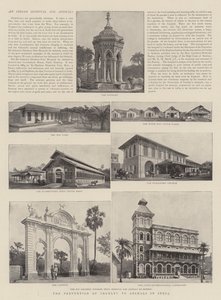 Förebyggande av djurplågeri i Indien