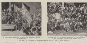 Prinsen av Wales gåva till maorierna, presentation av en flagga till Arawa-stammen av English Photographer