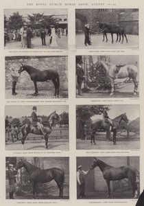 The Royal Dublin Horse Show, 26-29 augusti