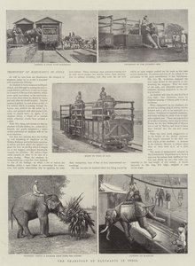 Transporten av elefanter i Indien