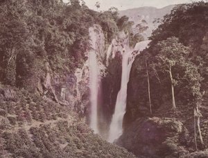 The Twin Falls (kaffe växer i förgrunden), Ceylon (färgad bild) av English Photographer