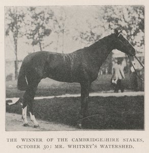 Vinnaren av Cambridgeshire Stakes, 30 oktober, Mr Whitneys Watershed av English Photographer