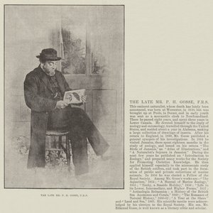 Framlidne herr P H Gosse, FRS av English Photographer