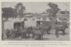 Transportvagnar från South Australian Bushmens Corps för Sydafrika av English Photographer