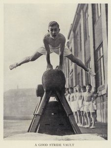 Vaulting: Ett bra stegvalv (s/v foto) av English Photographer
