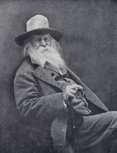 Walt Whitman (s/v foto) av English Photographer