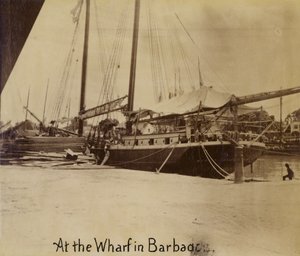 Wharf, Bridgetown, Barbados av English Photographer