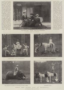 Vad drottningen såg på Balmoral