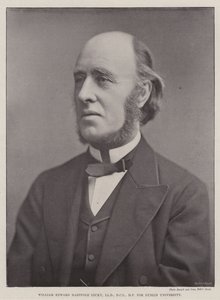 William Edward Hartpole Lecky, LLD, DCL, MP, för Dublin University av English Photographer