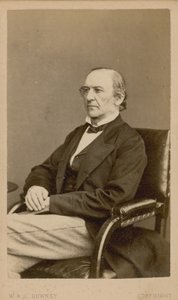 William Ewart Gladstone av English Photographer