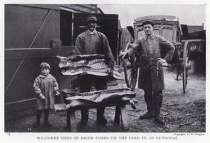 Wiltshire Seiten von Speck, auf dem Bauernhof in einem Nebengebäude gepökelt von English Photographer