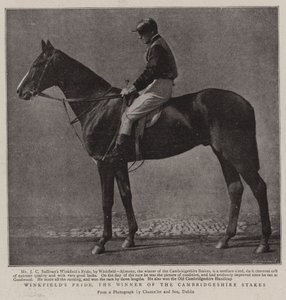 Winkfields Pride, vinnaren av Cambridgeshire Stakes av English Photographer