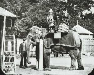 Zoological Gardens, Regents Park: elefant med vuxna och barn på en tur, London Zoo, 1894 av English Photographer