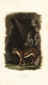 Engelsk gentleman från 1700-talet och hans tama varg, Canis lupus, i ingången till en grotta av English School