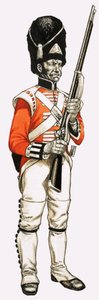 92:a. Foot Grenadier 1815 av English School