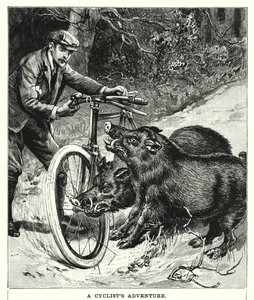 En cyklists äventyr (gravyr) av English School