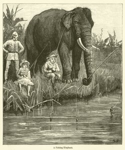 En fiskeelefant (gravyr) av English School