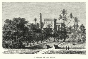 En trädgård i gamla Egypten (gravyr) av English School