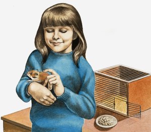 En flicka och hennes hamster av English School