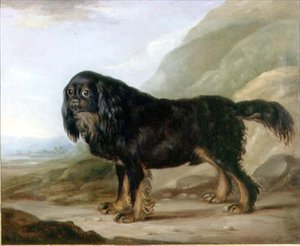 En King Charles Spaniel i ett landskap av English School