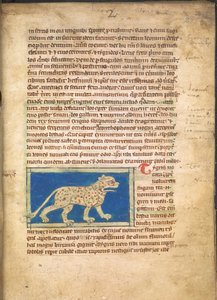 En tiger, från Sloane 3544, f.2 (pergament) av English School