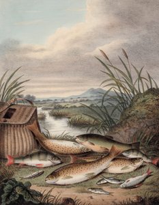 En bra dags fiske (färgad gravyr) av English School