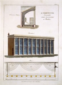 Ett växthus för John Elliott i Pimlico, London, 1806 av English School