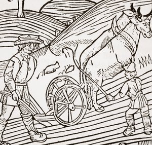 Ett par oxar okade till en plog, titelblad från John Fitzherberts Boke of Husbandry, första puben. 1523 av English School