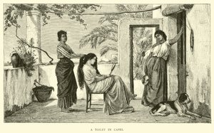 Eine Toilette in Capri