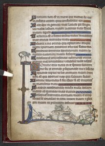 Lägg till MS 24686, f.13v Psalm med marginell förlängning som bildar partiell kant, c.1284-1316 (vellum) av English School